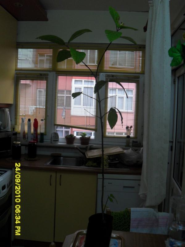 Name:  048.jpg
Views: 708
Size:  50.6 KB