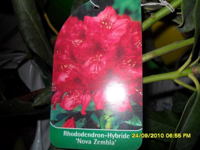 Name:  053.jpg
Views: 709
Size:  40.2 KB