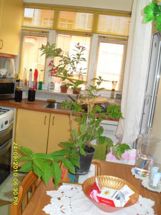 Name:  041.jpg
Views: 714
Size:  67.3 KB