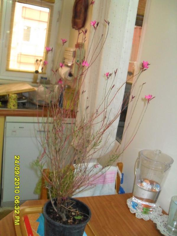 Name:  044.jpg
Views: 694
Size:  57.3 KB