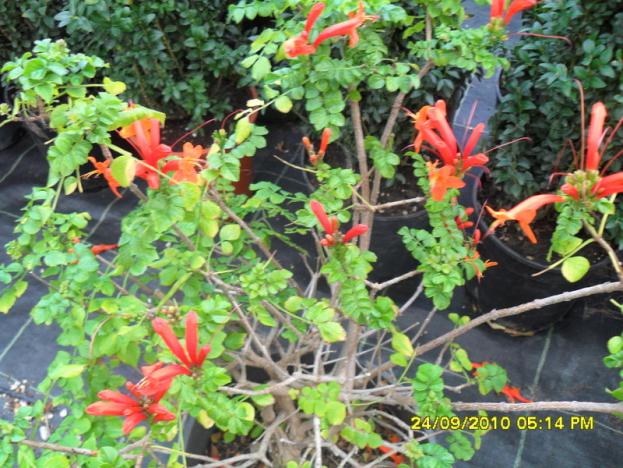 Name:  024.jpg
Views: 732
Size:  71.6 KB