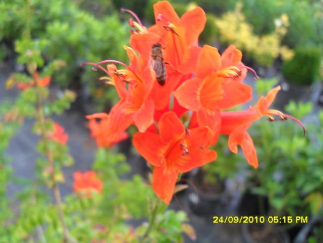 Name:  028.jpg
Views: 701
Size:  37.3 KB