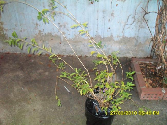 Name:  090.jpg
Views: 1311
Size:  52.5 KB