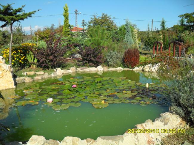 Name:  058.jpg
Views: 1240
Size:  67.9 KB