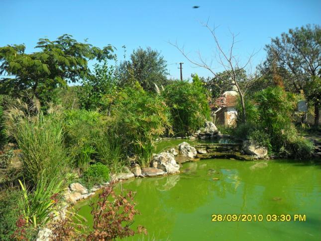 Name:  062.jpg
Views: 1329
Size:  70.4 KB