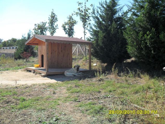Name:  046.jpg
Views: 1169
Size:  70.6 KB