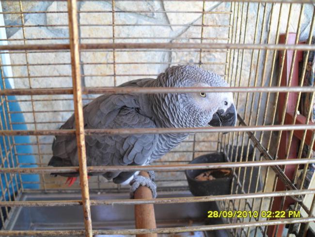 Name:  034.jpg
Views: 1161
Size:  62.3 KB