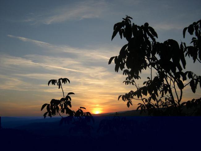 Name:  gnbatm.jpg
Views: 1293
Size:  33.1 KB