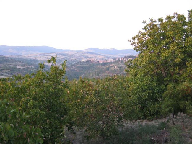 Name:  1.jpg
Views: 1345
Size:  52.5 KB