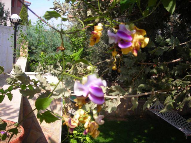 Name:  DSCN3311.jpg
Views: 612
Size:  65.8 KB