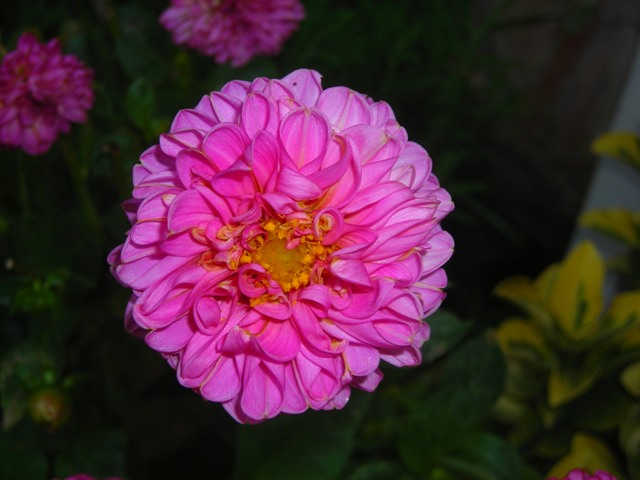 Name:  DSCN3316.JPG
Views: 626
Size:  63.9 KB