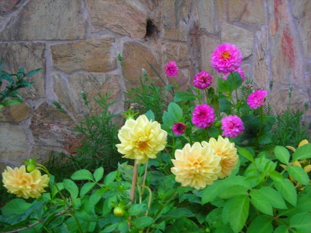 Name:  DSCN3314.JPG
Views: 594
Size:  69.8 KB