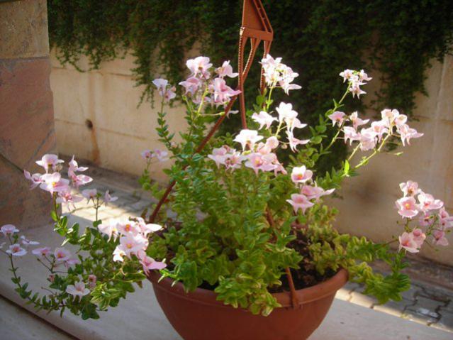 Name:  DSCN3374.jpg
Views: 592
Size:  53.2 KB