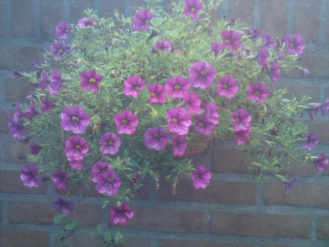 Name:  ABCD0002.jpg
Views: 501
Size:  42.4 KB