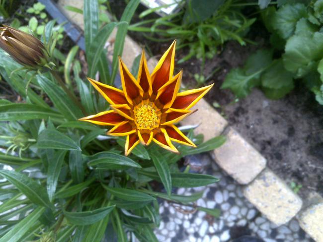 Name:  Foto1319.jpg
Views: 884
Size:  52.4 KB