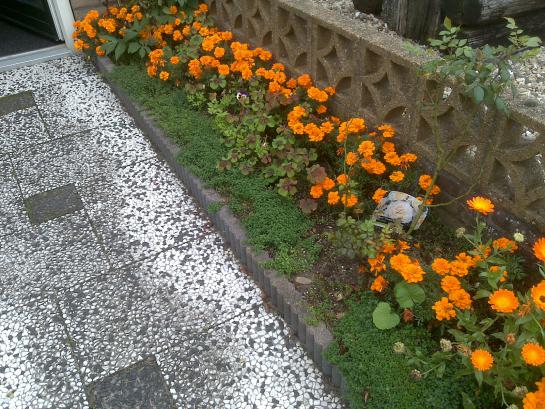 Name:  Foto1325.jpg
Views: 914
Size:  71.6 KB