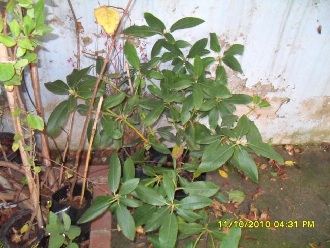 Name:  007.jpg
Views: 760
Size:  59.2 KB