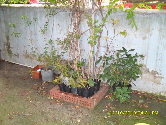 Name:  009.jpg
Views: 723
Size:  63.9 KB
