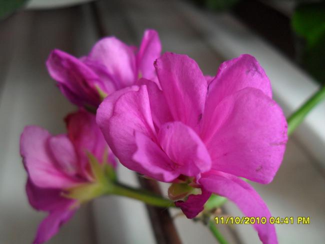 Name:  013.jpg
Views: 746
Size:  27.2 KB