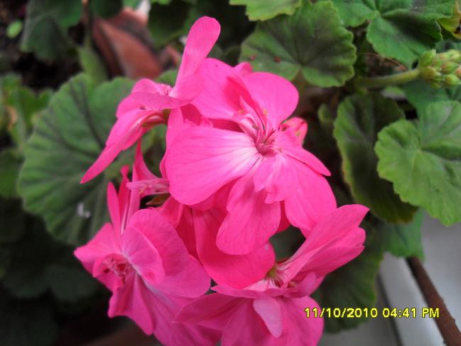 Name:  015.jpg
Views: 729
Size:  36.1 KB