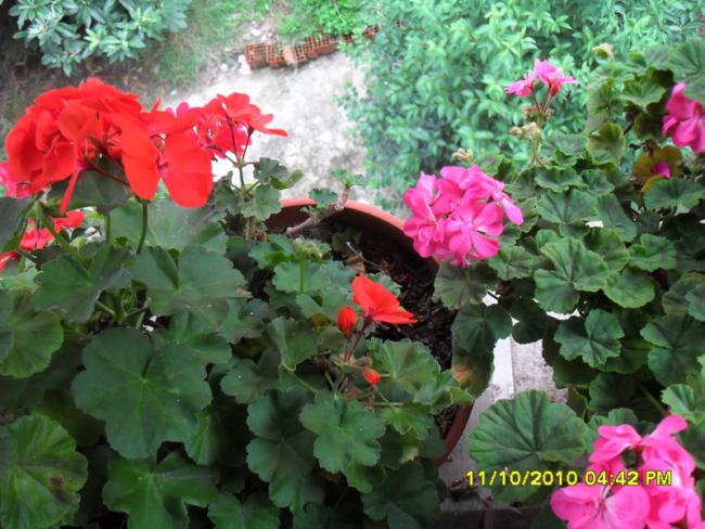 Name:  019.jpg
Views: 721
Size:  61.8 KB
