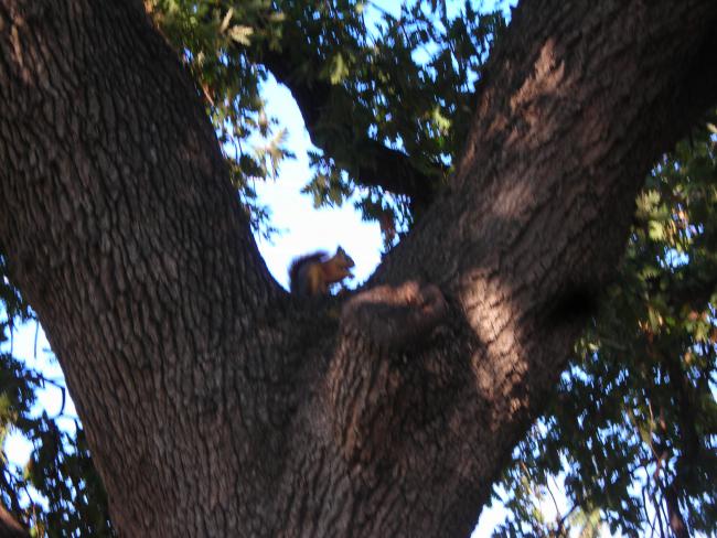 Name:  DSCN3404.jpg
Views: 551
Size:  58.9 KB