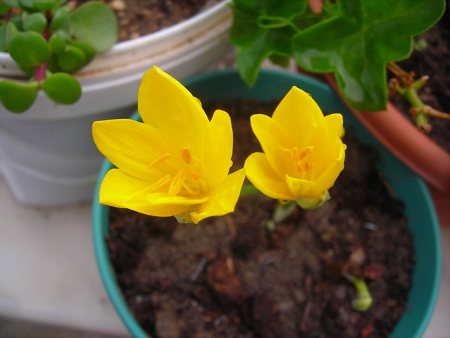 Name:  DSCN3431.JPG
Views: 535
Size:  58.5 KB