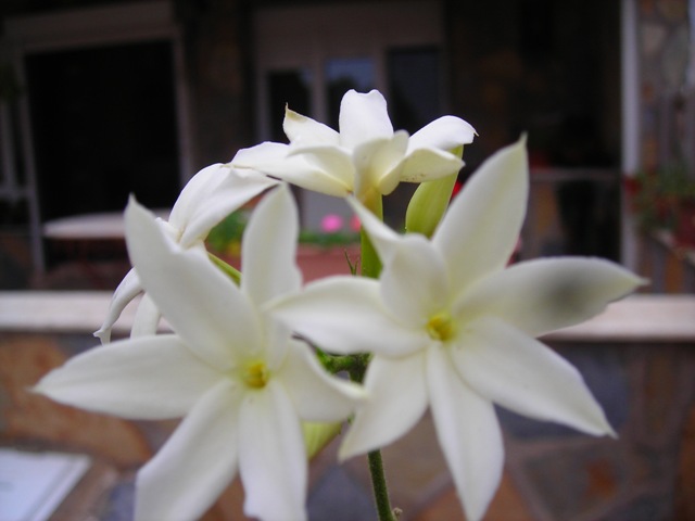 Name:  DSCN3463.JPG
Views: 791
Size:  51.0 KB