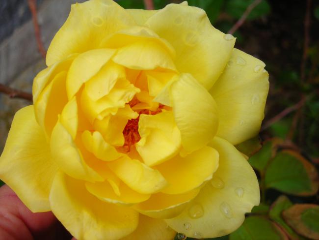 Name:  DSCN3456.jpg
Views: 534
Size:  28.5 KB