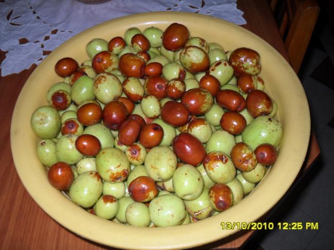 Name:  006.jpg
Views: 673
Size:  48.0 KB