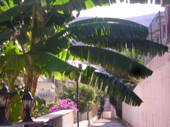 Name:  DSCN3524.jpg
Views: 541
Size:  52.3 KB