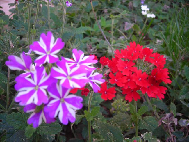 Name:  DSCN3544.jpg
Views: 554
Size:  55.1 KB
