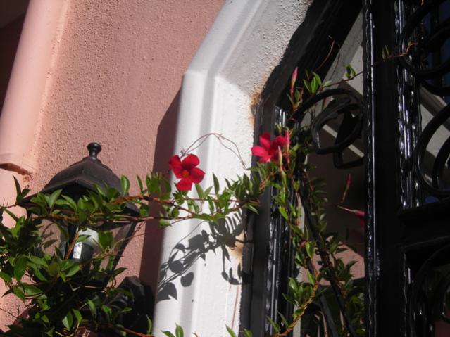 Name:  DSCN3518.jpg
Views: 538
Size:  50.1 KB