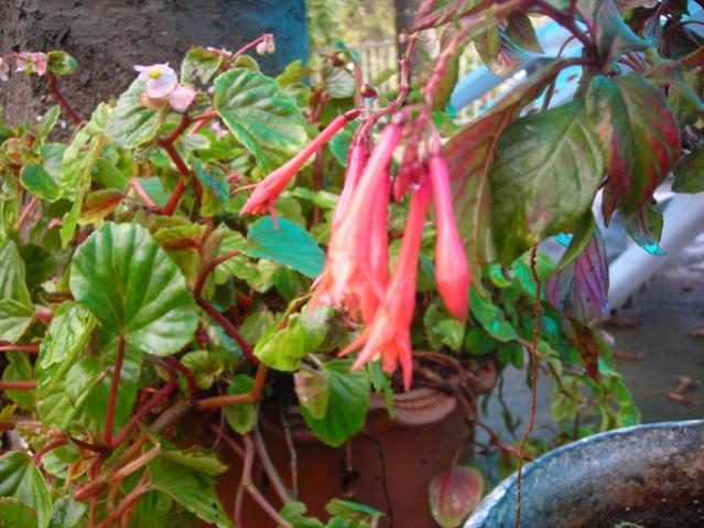 Name:  DSCN3567.jpg
Views: 559
Size:  58.2 KB