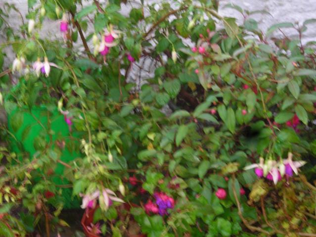 Name:  DSCN3583.jpg
Views: 522
Size:  54.6 KB