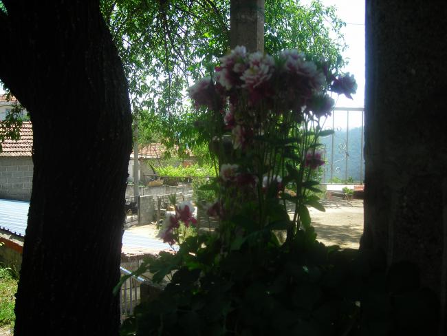 Name:  DSCN1818.jpg
Views: 502
Size:  49.5 KB