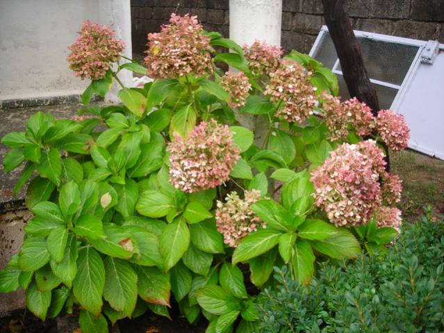 Name:  DSCN3560.jpg
Views: 507
Size:  64.9 KB