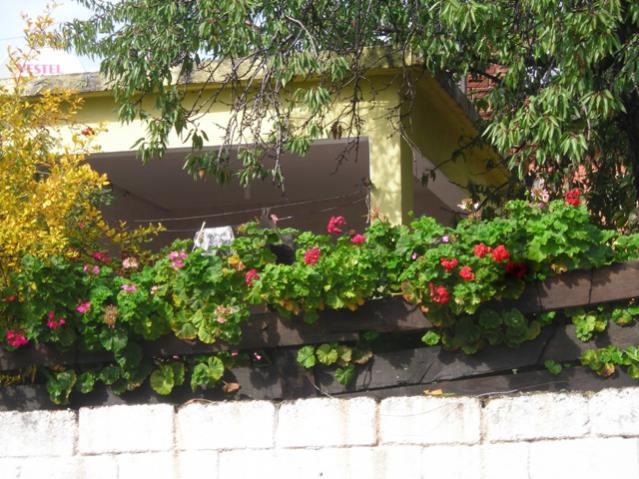 Name:  DSCN3574.jpg
Views: 531
Size:  65.8 KB