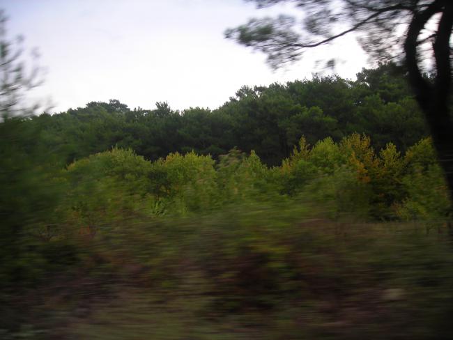 Name:  DSCN3553.jpg
Views: 556
Size:  35.2 KB