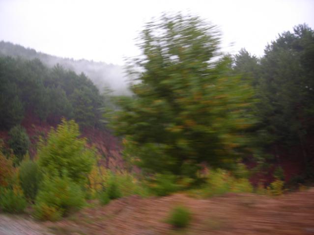 Name:  DSCN3554.jpg
Views: 532
Size:  30.5 KB