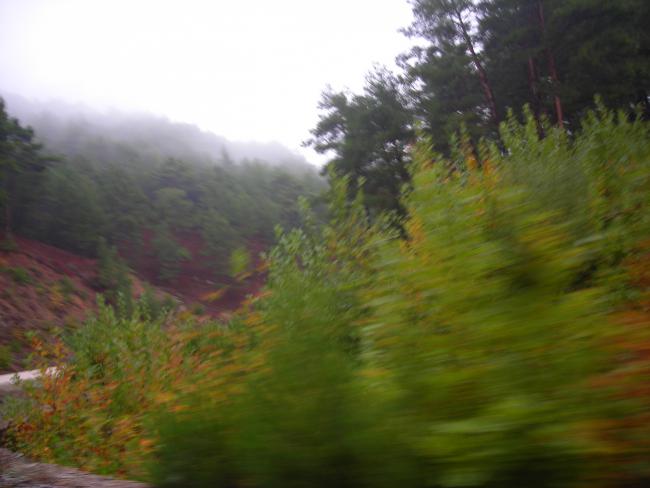 Name:  DSCN3555.jpg
Views: 550
Size:  33.7 KB