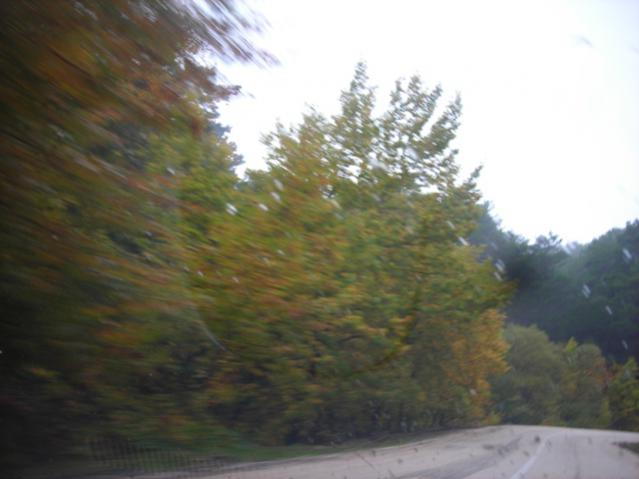 Name:  DSCN3556.jpg
Views: 561
Size:  31.7 KB