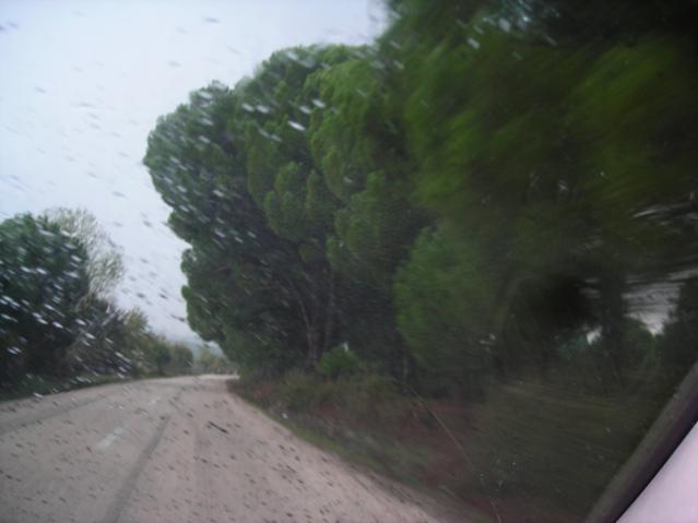 Name:  DSCN3558.jpg
Views: 553
Size:  27.0 KB