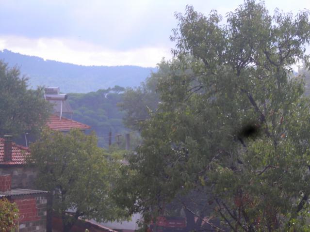 Name:  DSCN3577.jpg
Views: 558
Size:  41.8 KB