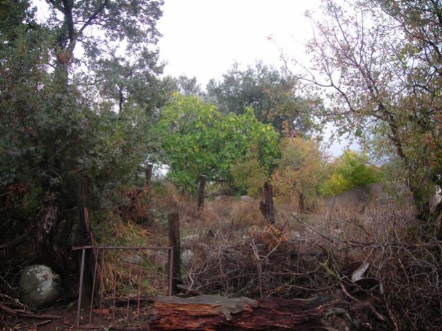 Name:  DSCN3595.jpg
Views: 551
Size:  66.9 KB
