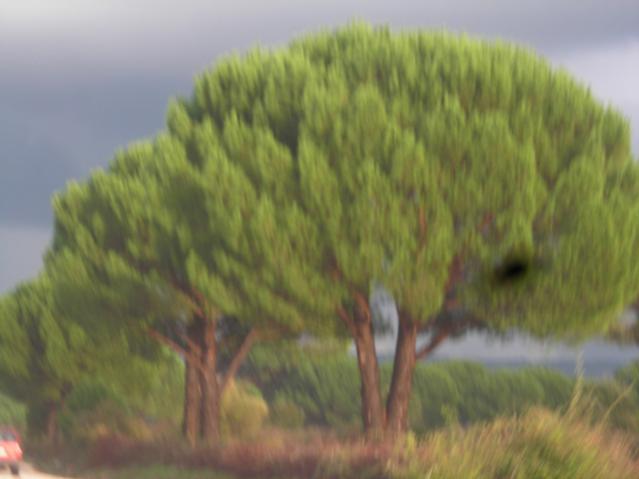 Name:  DSCN3615.jpg
Views: 579
Size:  28.0 KB
