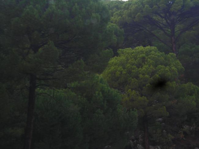 Name:  DSCN3610.jpg
Views: 605
Size:  27.0 KB