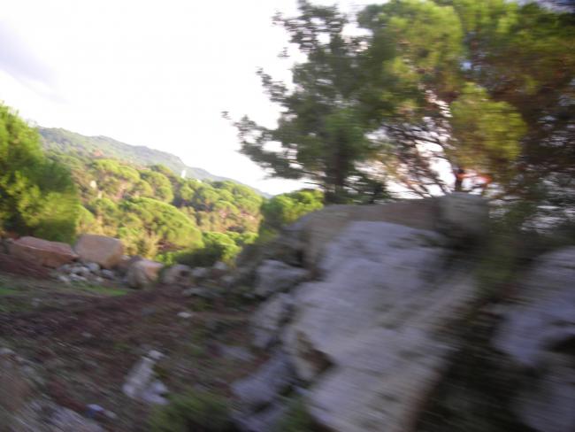 Name:  DSCN3603.jpg
Views: 551
Size:  38.6 KB