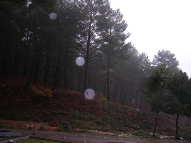 Name:  DSCN3620.jpg
Views: 540
Size:  30.4 KB