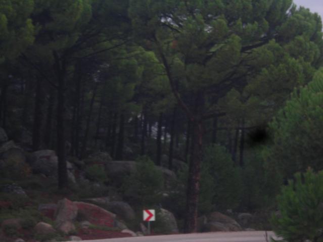Name:  DSCN3611.jpg
Views: 545
Size:  24.2 KB